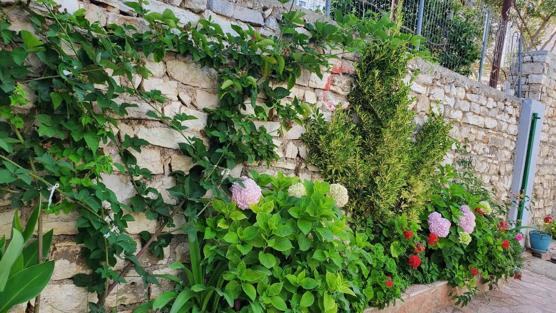 Guest House Sandri Sarande